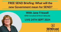 FREE SEND Briefing: what will the new Government mean for SEND with Jane Friswell
